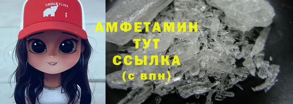 прущие грибы Заволжье