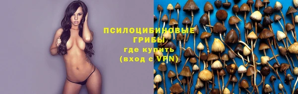 прущие грибы Заволжье