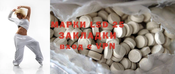 прущие грибы Заволжье