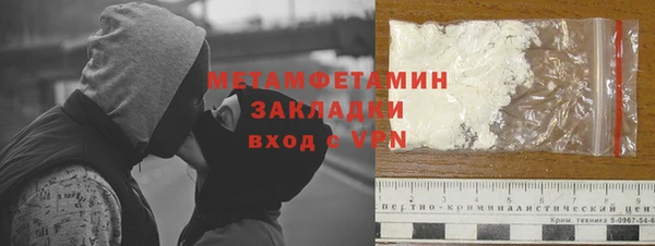 прущие грибы Заволжье