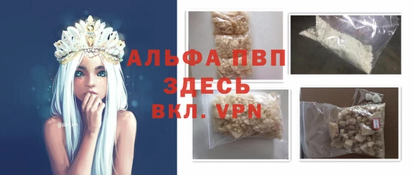 прущие грибы Заволжье