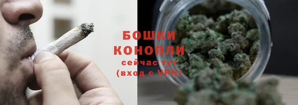 прущие грибы Заволжье