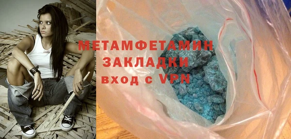прущие грибы Заволжье