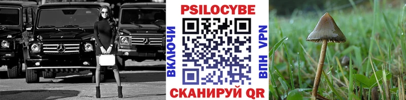 дарнет шоп  Щёлково  Галлюциногенные грибы мицелий 